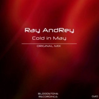 Ray Andrey