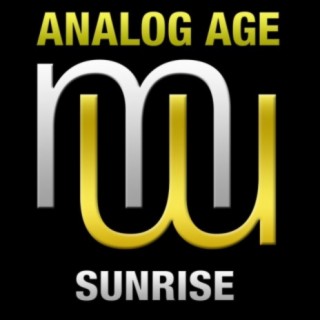 Analog Age