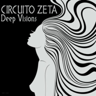 Circuito Zeta