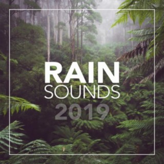 Rain Sounds 2019