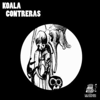 Koala Contreras