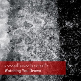SwallowBreath