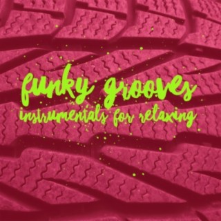 Funky Grooves Instrumentals for Relaxing