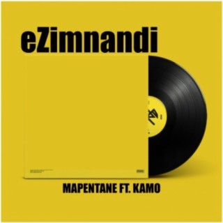 eZimnandi (feat. kamo)