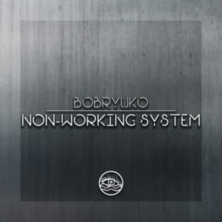 Non-Working System