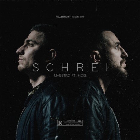 SCHREI (feat. Mois) | Boomplay Music