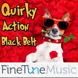 Quirky: Action Black Belt