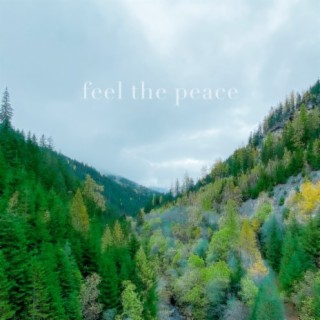 Feel The Peace