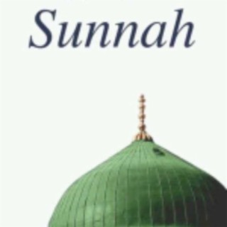 Understanding the Sunnah