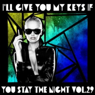 I'll Give You My Keys If You Stay The Night, Vol. 29