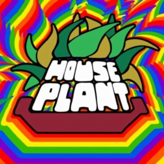 House Plant