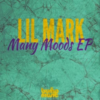 Many Moods EP Vol 2