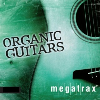 Organic Guitars