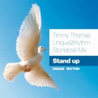 Stand Up (Unique2Rhythm Stonelove Mix)