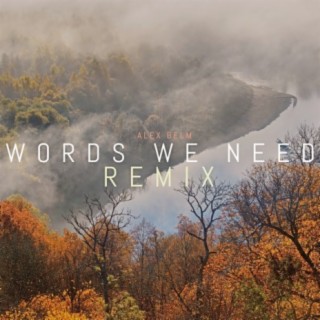 Words We Need (Remix)