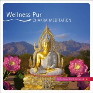 Chakra Meditation - Die heilende Kraft der Musik