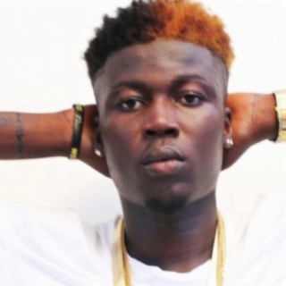 Wisa Greid