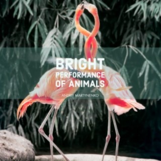 Bright Performance of Animals