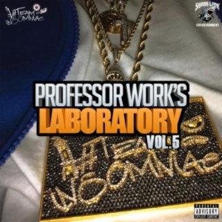 Professor Work's Laboratory, Vol. 5