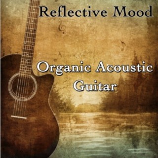 Reflective Mood: Organic Acoustic Guitar