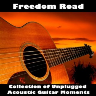 Freedom Road: Collection of Unplugged Acoustic Guitar Moments