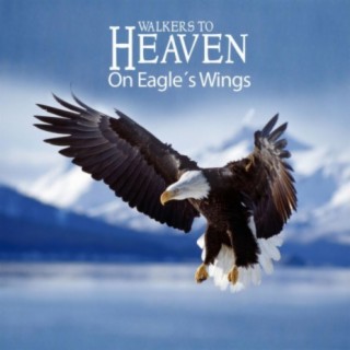 On Eagle´s Wings