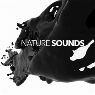 Nature Sounds