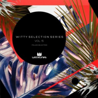Witty Selection Series, Vol. 15