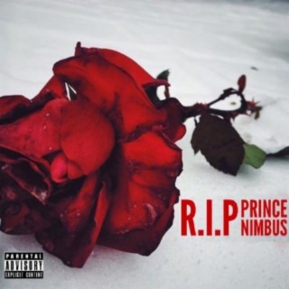 R.I.P Prince Nimbus