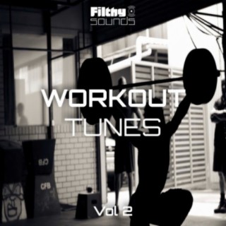 Workout Tunes, Vol. 2