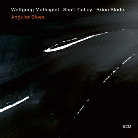 Wondering ft. Scott Colley & Brian Blade | Boomplay Music