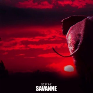 Savanne