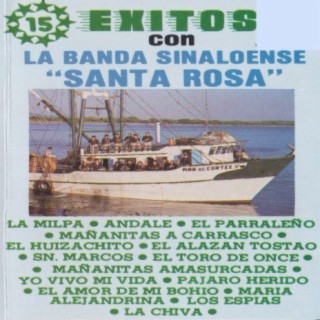 15 Exitos Con La Banda Sinaloense: Santa Rosa