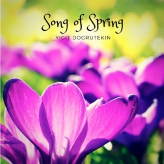 Song of Spring