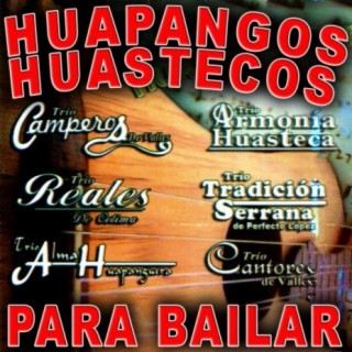 Para Bailar