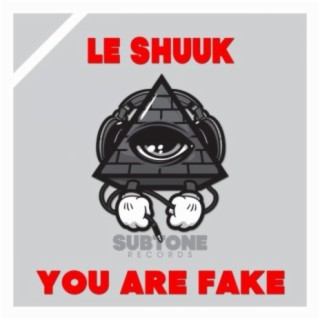 You Are Fake