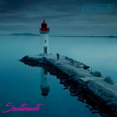 Sentiments | Boomplay Music