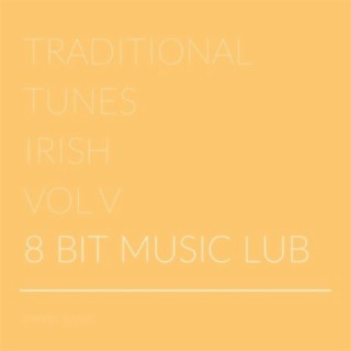 Traditional Tunes Irish, Vol. V