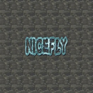 Nicefly