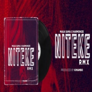 Niteke Remix ft. Harmonize lyrics | Boomplay Music