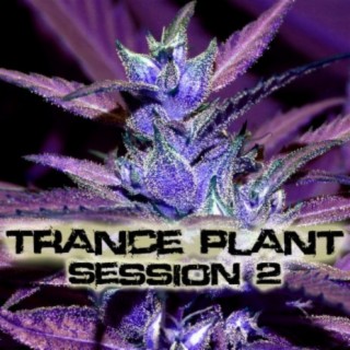 Trance-Plant Session 2