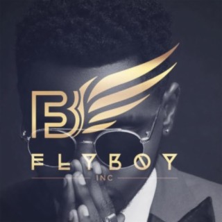 Flyboy I.N.C