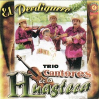 Trio Cantores de la Huasteca