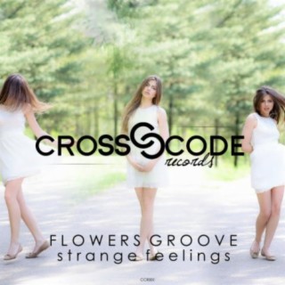 Flowers Groove