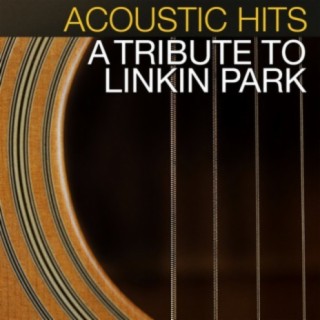 Acoustic Hits