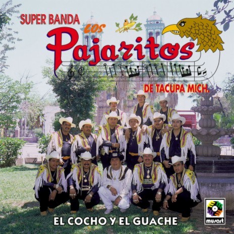 A Bailar Charanga | Boomplay Music