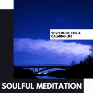 Soulful Meditation: 2020 Music for a Calming Life