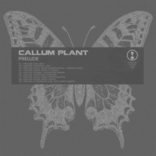 Callum Plant