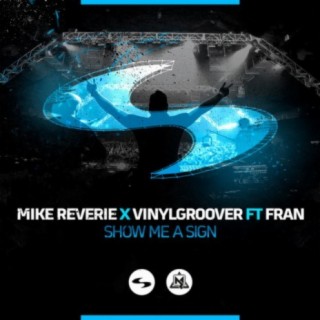 Vinylgroover