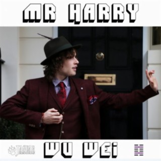 Mr Harry